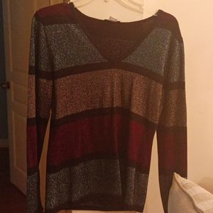 Shiny Venus pullover v neck long sleeve l sweater